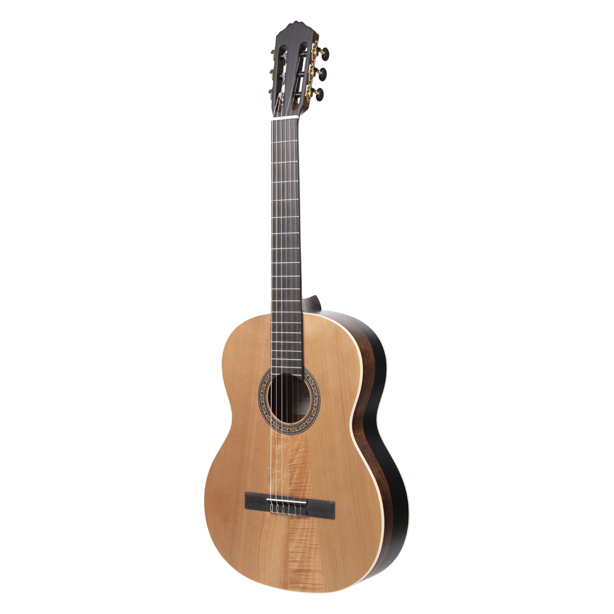 Meridaextrema PC33C-NT(2)
