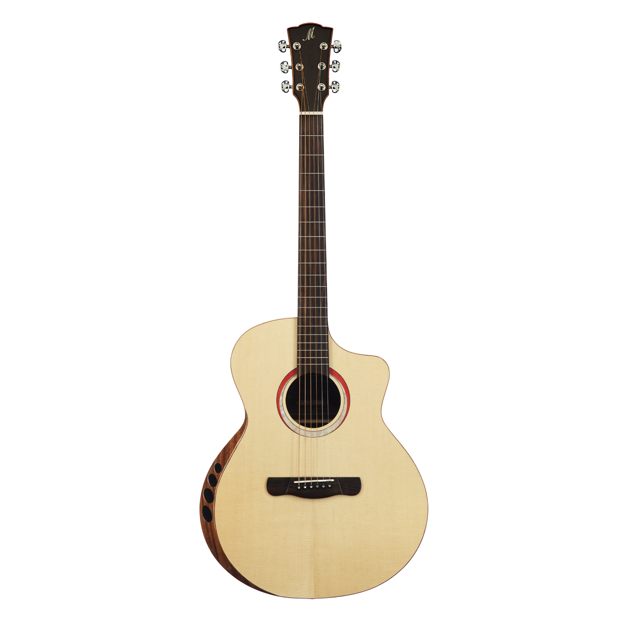 Meridaextrema Pallas (1)