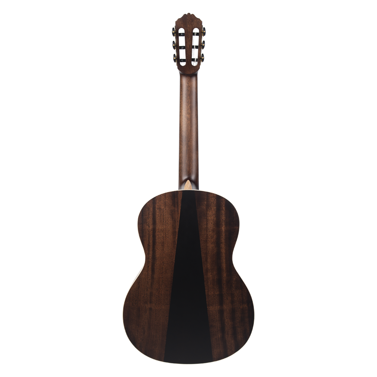 Meridaextrema PC33C-NT(3)