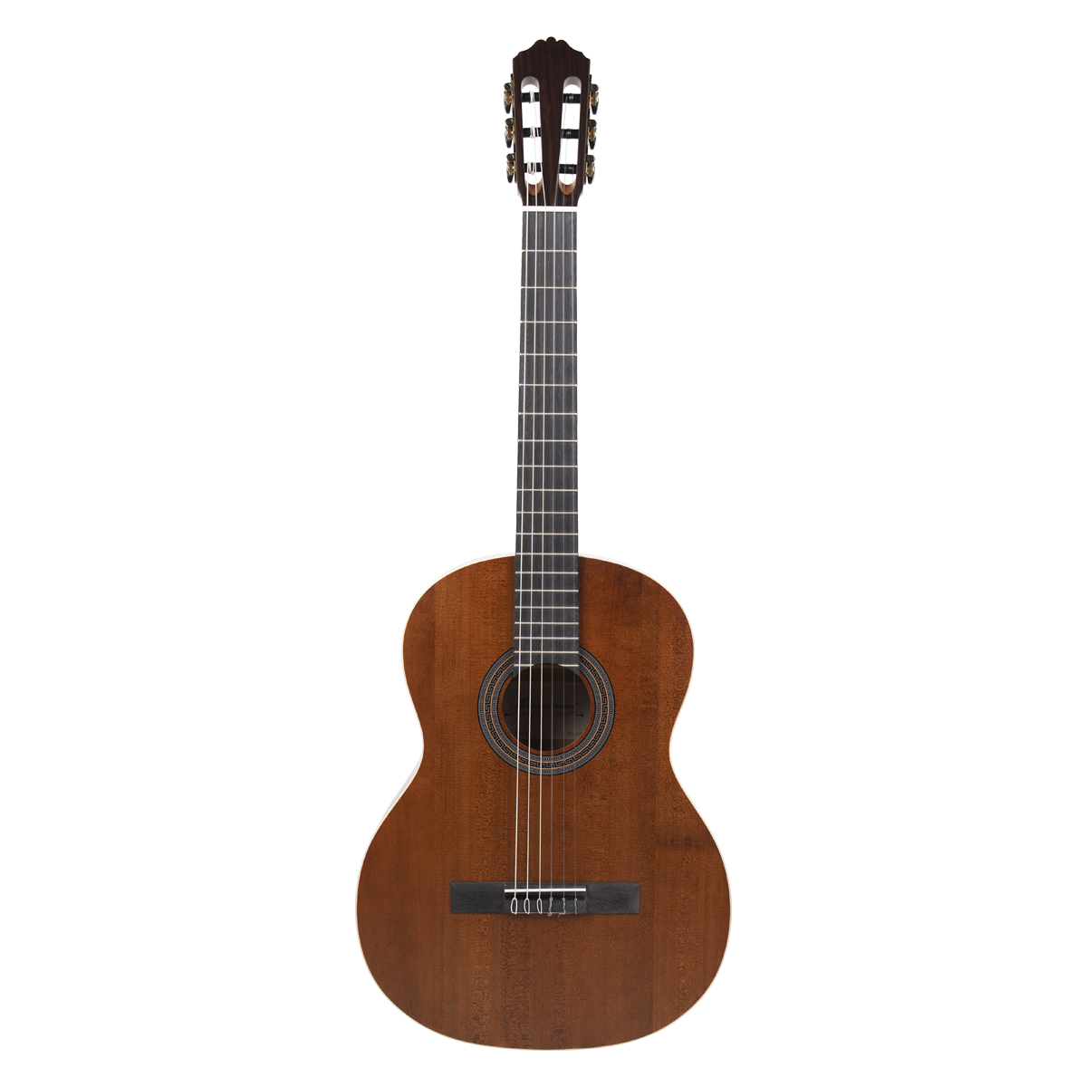 Meridaextrema PC43VT(1)