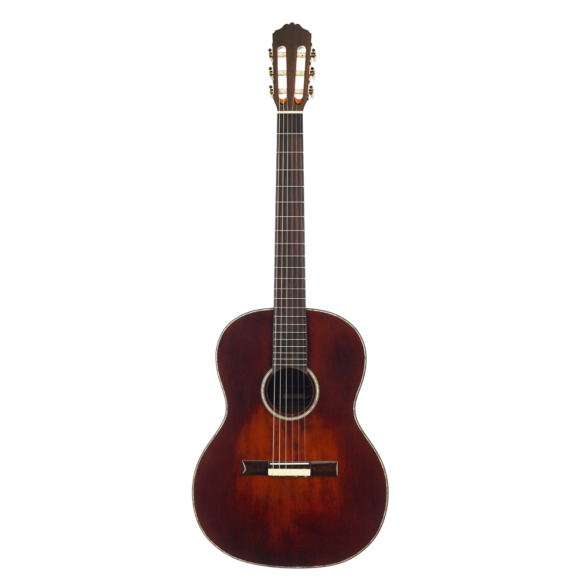 Meridaextrema MC17KOA (1)