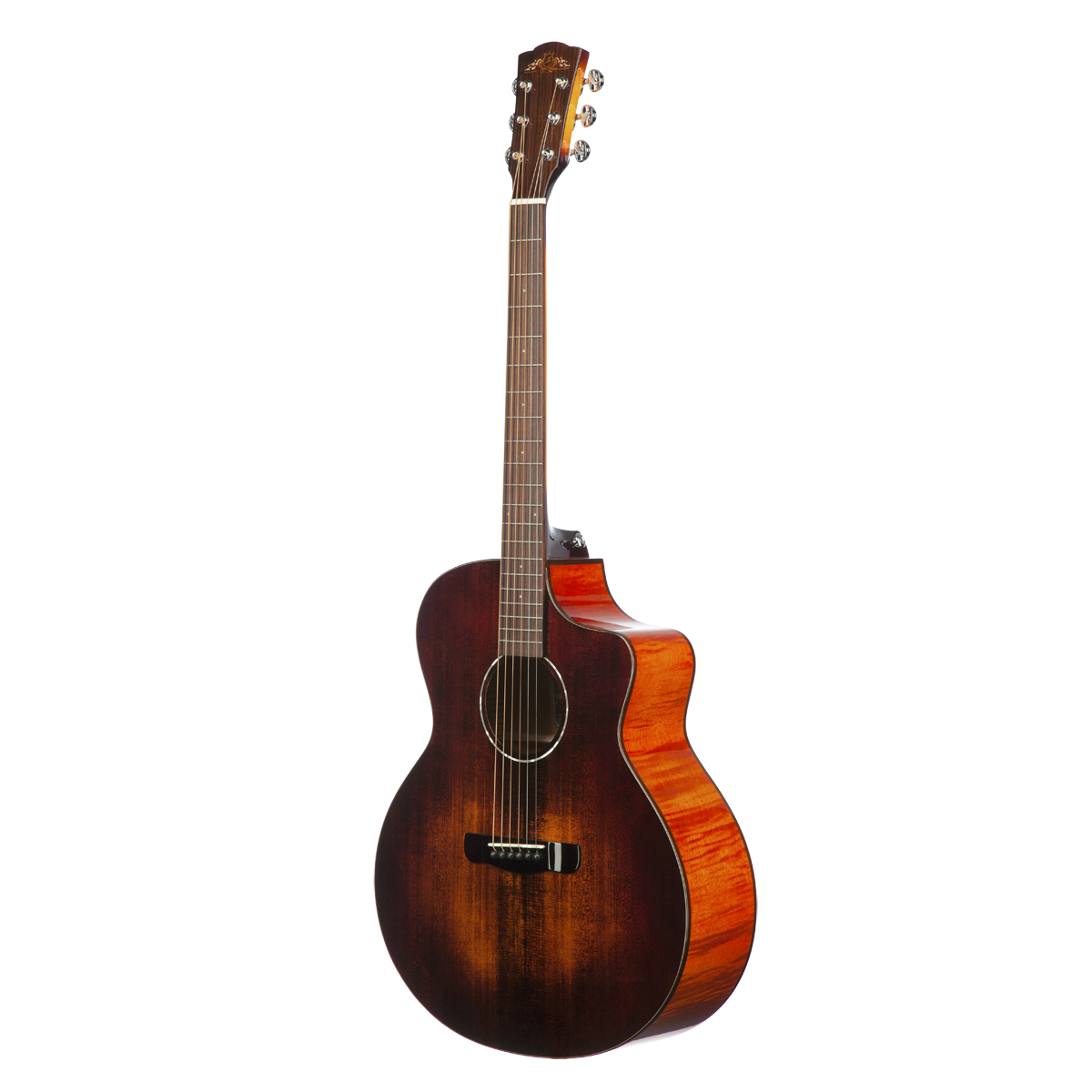 Meridaextrema DG20MFCS (2)