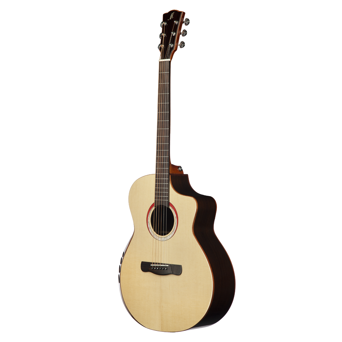 Meridaextrema Pallas (2)