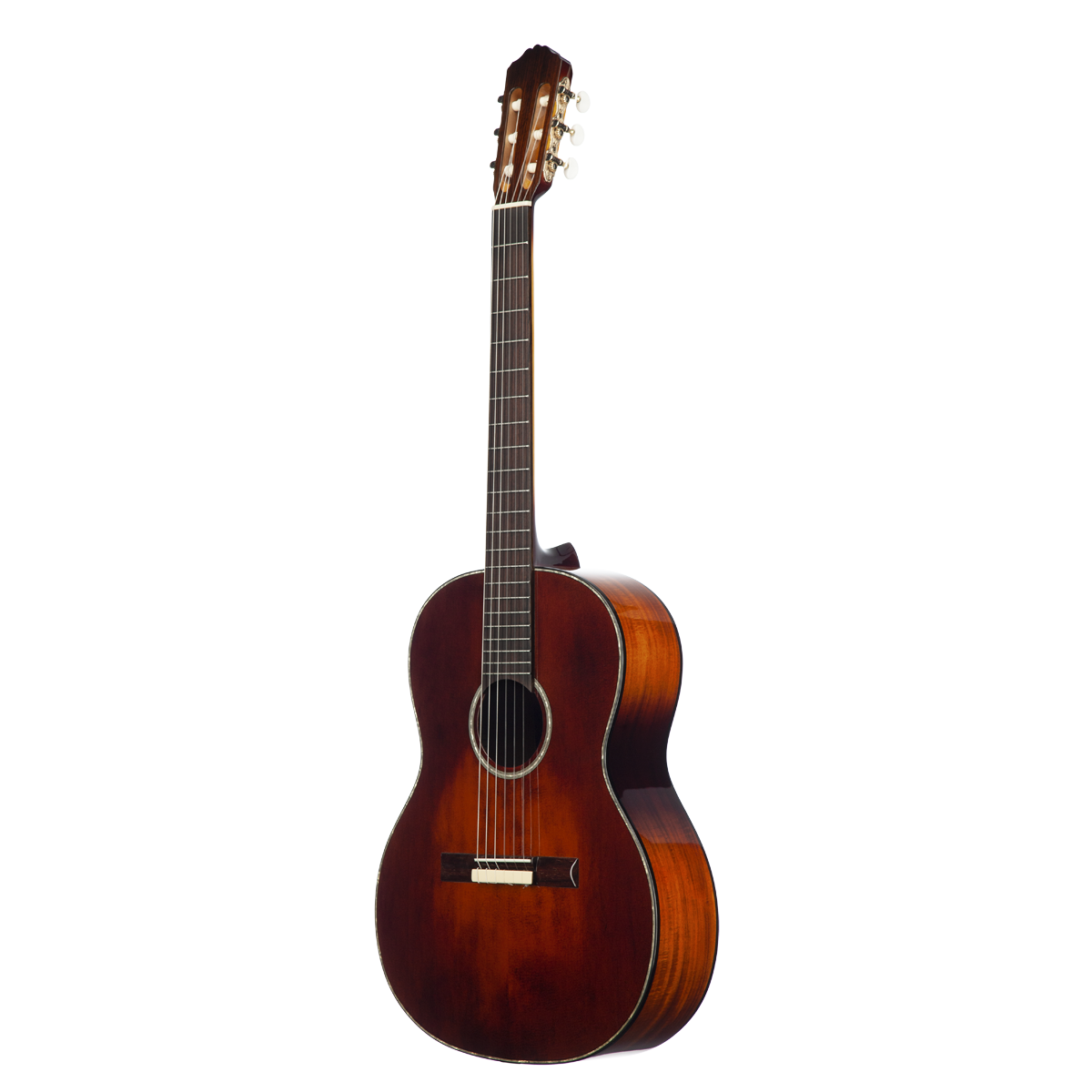 Meridaextrema MC17KOA (2)