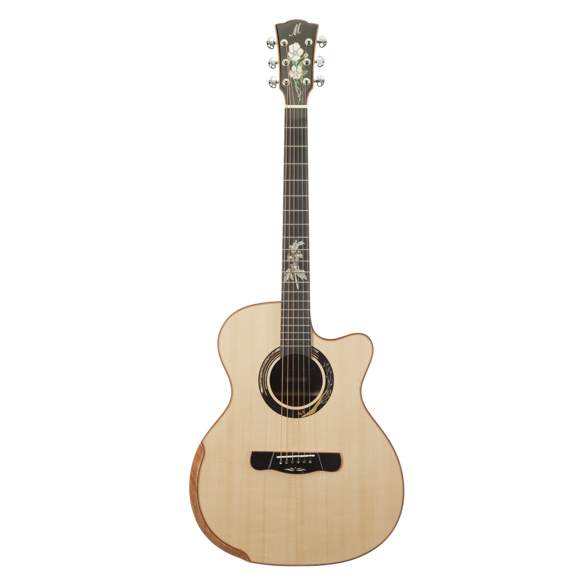 Meridaextrema A18GAC (1)