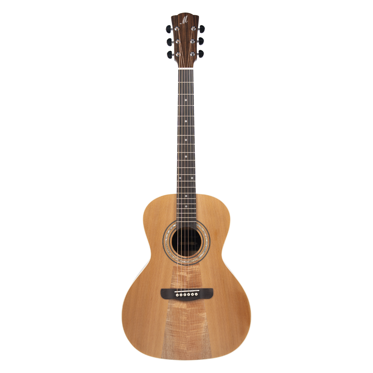 Meridaextrema PA320TV(1)