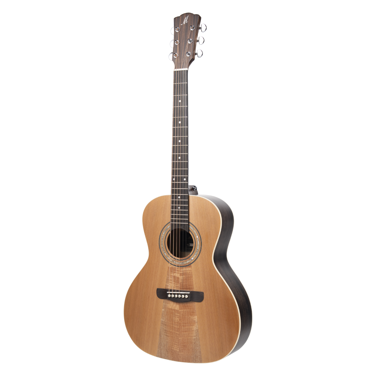 Meridaextrema PA320TV(2)