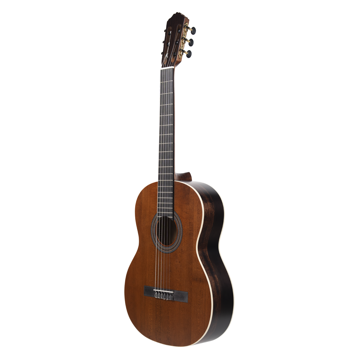 Meridaextrema PC43VT(2)