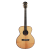 Meridaextrema M1RW (1)