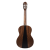 Meridaextrema PC43-NT(3)