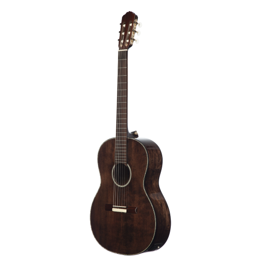 Meridaextrema MC17ASH (2)