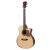 SN GAC 2