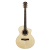 Meridaextrema E1FCS (1)
