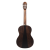 Meridaextrema PC43VT(3)
