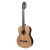 Meridaextrema PC33C-NT(2)