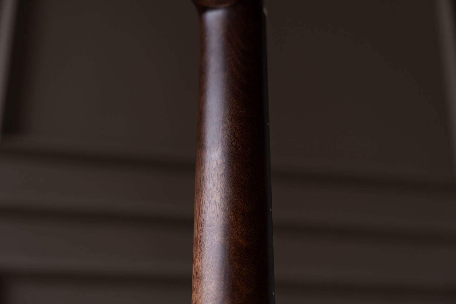 Meridaextrema PC43-NT