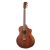 Meridaextrema C15CS (2)png