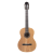 Meridaextrema PC33C-NT(1)
