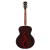 Meridaextrema M1RW (3)