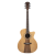 Meridaextrema PA320GAC (1)