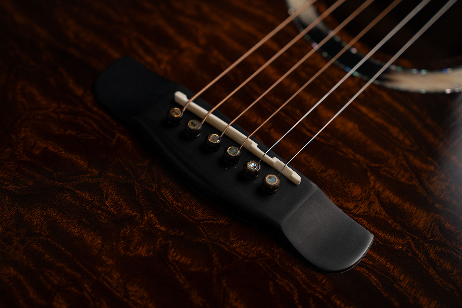 Meridaextrema Rocker-GC