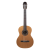 Meridaextrema PC43-NT(1)