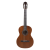 Meridaextrema PC43VT(1)