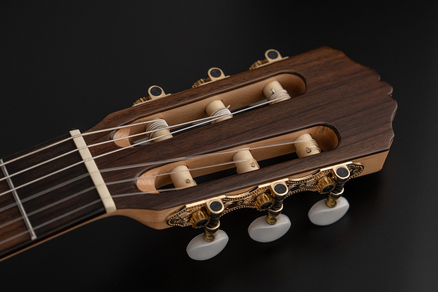 Meridaextrema MC-17ASH