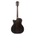 Meridaextrema PA320GAC (3)