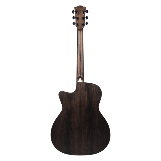 Meridaextrema PA320GAC (3)