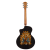 Meridaextrema E1FCS (3)