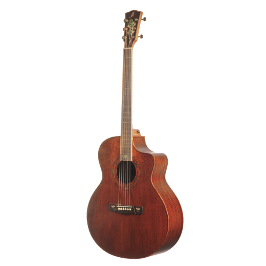 Meridaextrema DG20FOLCT