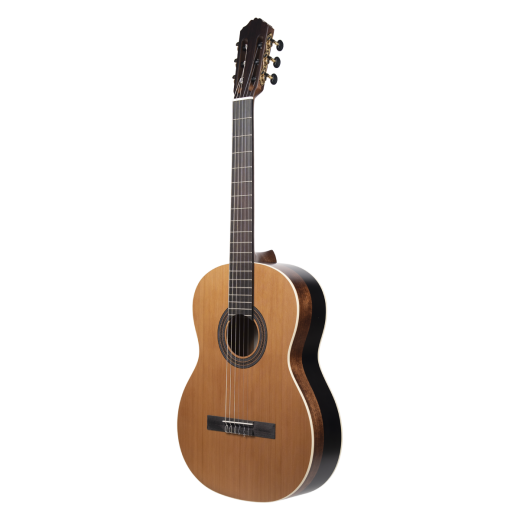 Meridaextrema PC43-NT(2)