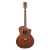 Meridaextrema C15CS (1)