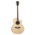 Meridaextrema E1CS (1)