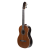 Meridaextrema PC43VT(2)
